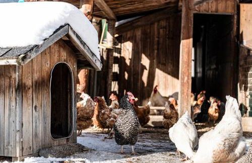 Christlrumerhof - Photo 5