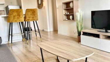 Jolie T2 40m2 hôpitaux avec terrasse et parking - Foto 1