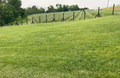 Cascina Mabette - Foto 41