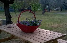 La stalla di nonno Zopito casa vacanze - Foto 21