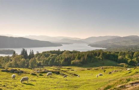 Camellia Cottage - Foto 17