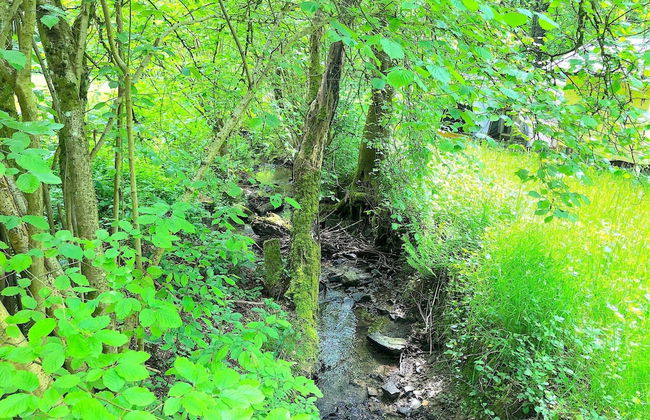 Scenic Holiday Home in Windeck With Garden - Foto 11