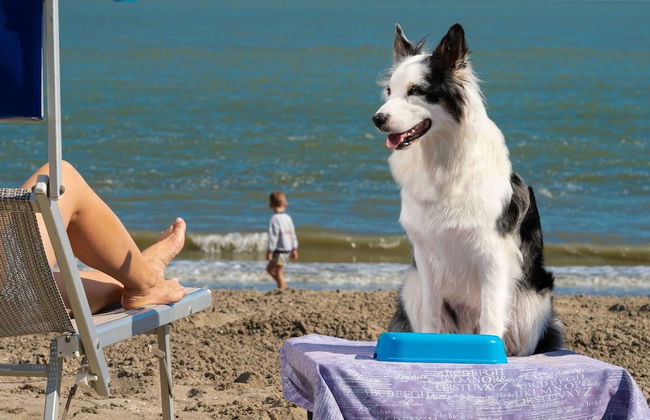 Villa in Albarella Near Venice Beach - Photo 26