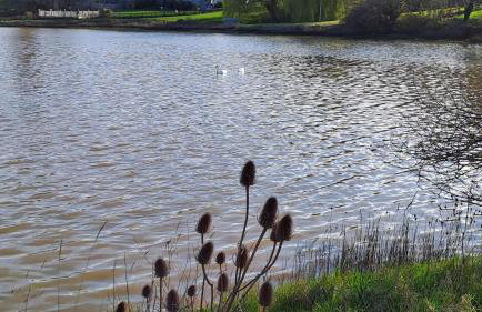 Sandown on The Creek - Foto 37