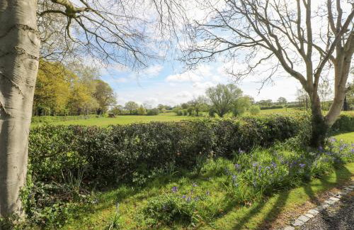 Hen House View - Foto 21