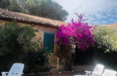 CALABRIA- CASA SUL MARE La Camilluccia - Foto 48