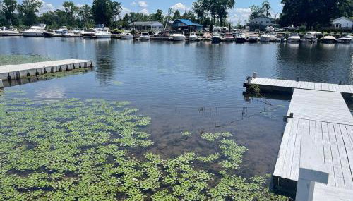 Charming Home on Esopus Creek - Foto 3