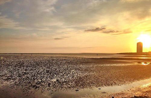 Ferienhaus bei Nordseelagune Busum - Foto 52