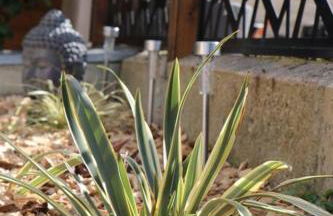 La Vallée Appartement Proche du Mont Saint Michel - Foto 18