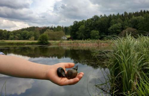 Wald-Apartment - Foto 44