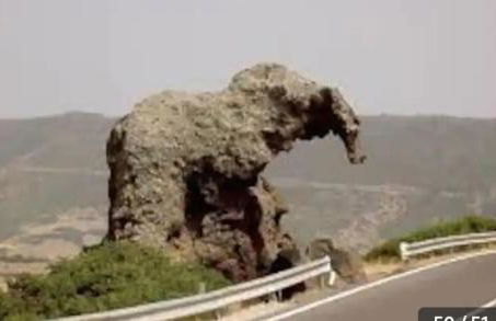 Appartamento residence Tartaruga 3 - Foto 42