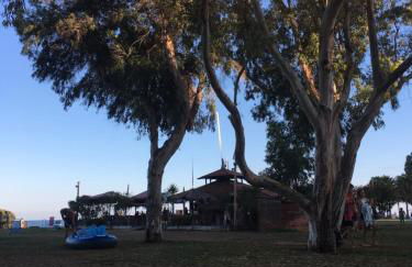 Costa Marina III Oropesa Apartment - Foto 17