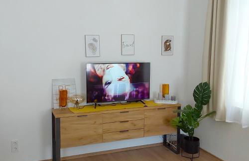 Gemütliche Wohnung mit Küche und Netflix - Photo 8