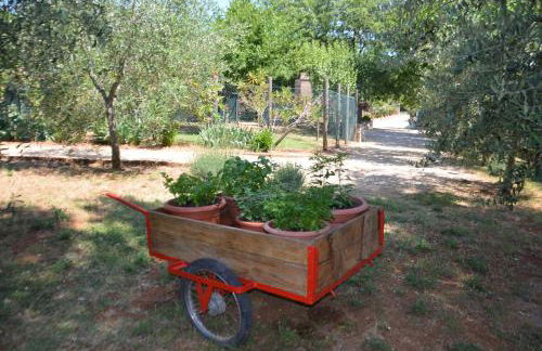 Casale Santa Caterina - Foto 19