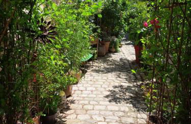 Terra-Crystal - Foto 64