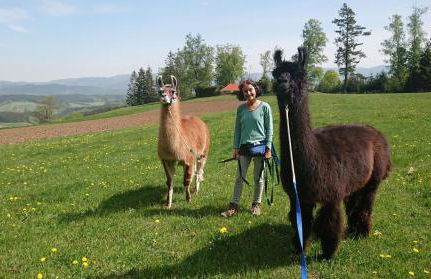 ruhiges Wohnen am Lama und Maine Coon Hof in Alleinlage in Biederbach 3 Zimmer mit Kochgelegenheit Bad - Foto 19