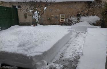 Bajo los nidos 2 - Foto 26