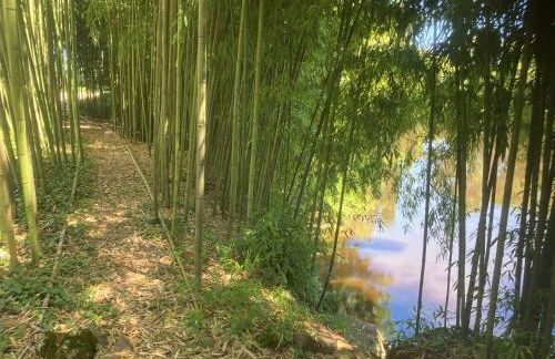 Le Petit Chateau - adults only property - Foto 33