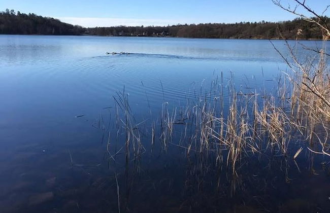 Ronneby Torneryd Retreat - Foto 48