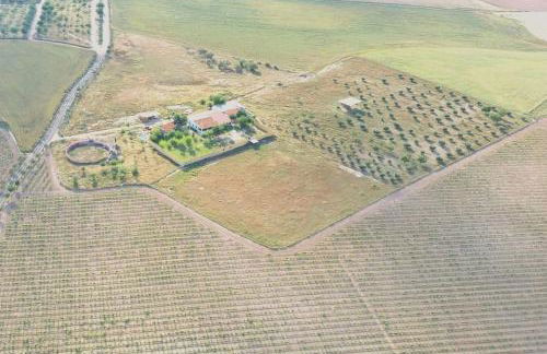 Finca La Caprichosa de Dancos - Foto 44