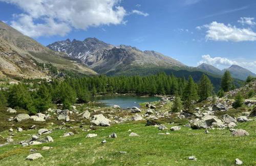 Romantico - SAUNA- il tuo week end di coppia in Valtellina- - Foto 16