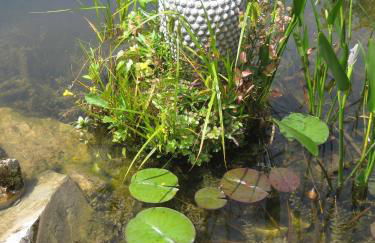 Living in Nature - Foto 34