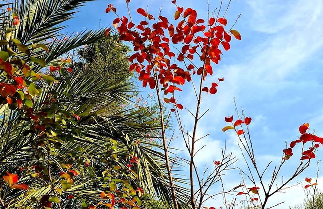 Etna Panoramic Villa With Swimming Pool - Foto 62