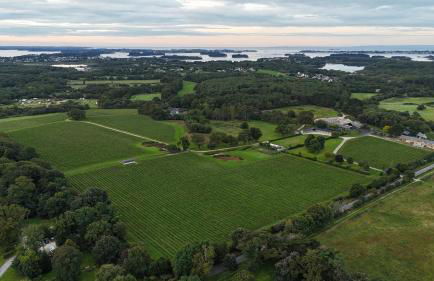 Luxueuse Longère 350m2 "Le Grand Kerfra" au Vignoble Domaine Lamballe, Baden, Golfe du Morbihan - Photo 36