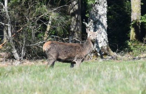 Le hameau de Donnedevie - Foto 11