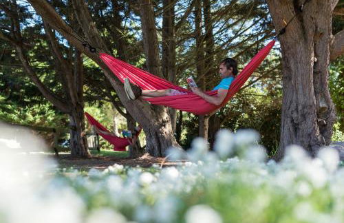 Jardin Colonial - Rêves de Mer - Foto 13