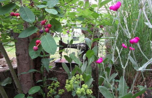 Moderne große Wohnung in herrlichem Naturgrundstück - Foto 27