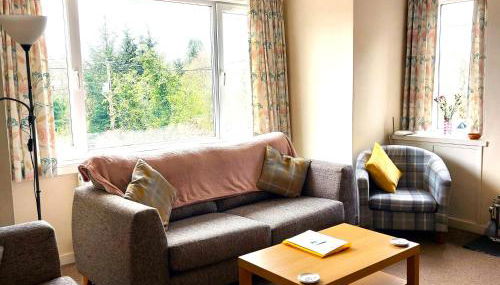 Springfield - Foto 4