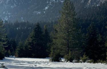 Cedar Wood Cabin - Foto 12