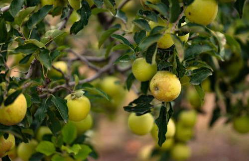 Mas Montbrio Belvedere - Foto 45