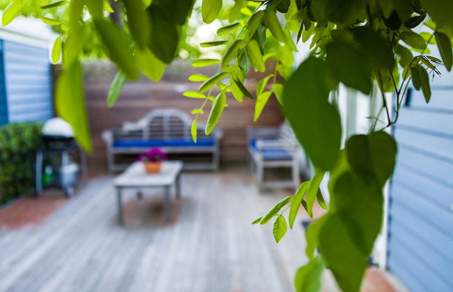 Belmont at Beechworth - Foto 17