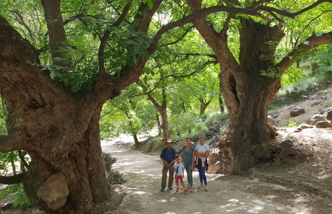 3-bedroom Apartment in Imlil With View of Mount Toubkal - Foto 23