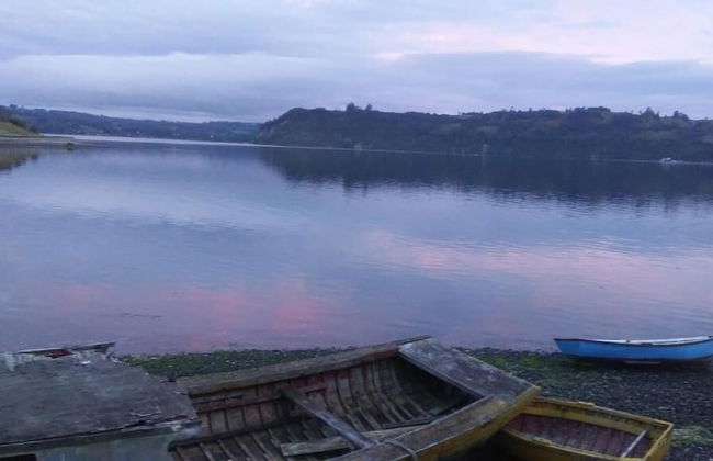 Cabañas Palafitos Dalmacia - Foto 28