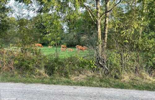 Gîte Saint Joseph 5 minutes à Lac d 'Eguzon - Foto 8