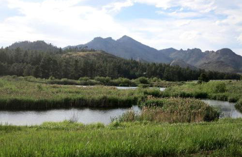 Impressive Cabin Rental with Views of Pike National Forest near Colorado Springs, Colorado - Foto 27