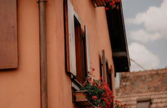Gîte du Fronholz - Maison alsacienne avec jardin et service traiteur - Foto 35