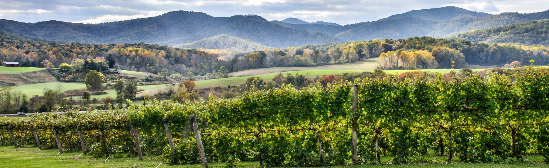 Virginia Wineries Tour - Foto 1