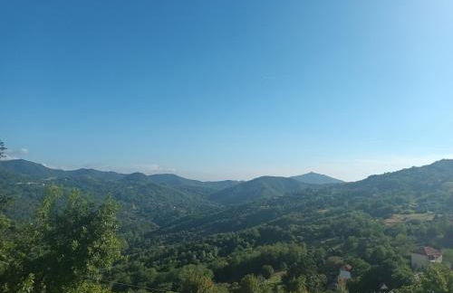 appartamento la pineta IT010-058C2O-TJ54093 - Photo 3