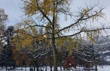 Le Balcon du Parc, entre Lourdes et Gavarnie - Foto 20