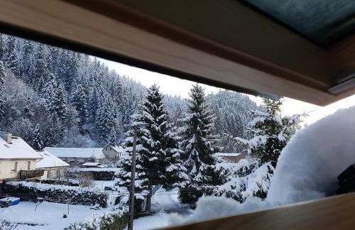 Le petit Kichon - Foto 35