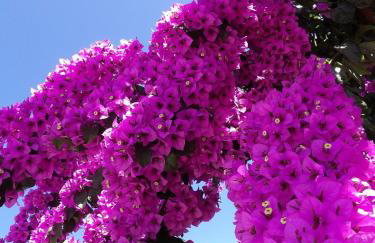 Apartments Daniela - Foto 59