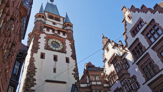 Free tour por Friburgo de Brisgovia - Foto 4, Martinstor