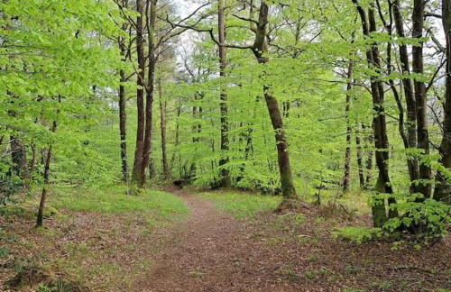 Lumière et Confort en Centre Ville - Foto 23