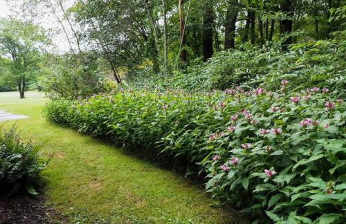 Elegant 7BR Estate with Pool & Hot Tub in Berkshires - Foto 30