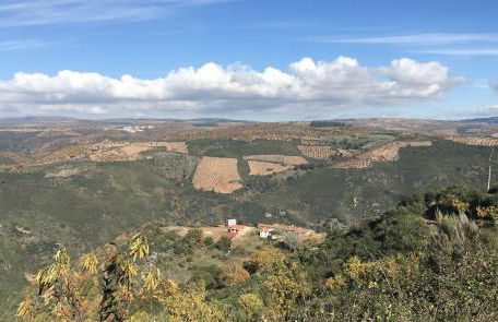 Mosteirinho - Foto 2