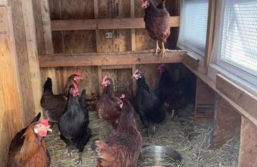 Welcome to our Retreat Haven in Warwick, NY - Foto 51